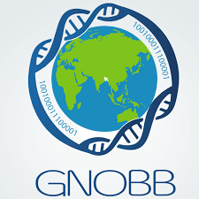 GNOBB
